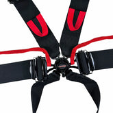 NecksGen Racing Harness